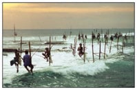 weligama_fishermen.jpg