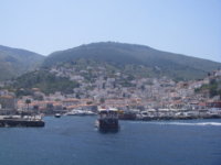 Hydra easter 2009 072.jpg