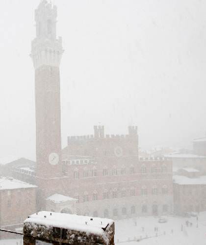 as.enet.gr_resources_2010_12_siena_piazza_del_campo_thumb_medium.jpg