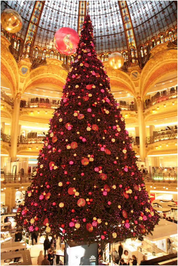 a1.bp.blogspot.com__vRsouYyjuj4_TNnRA5uGUnI_AAAAAAAAA6s_ev6Eg_V0thY_s1600_sapin_noel_lafayette.jpg