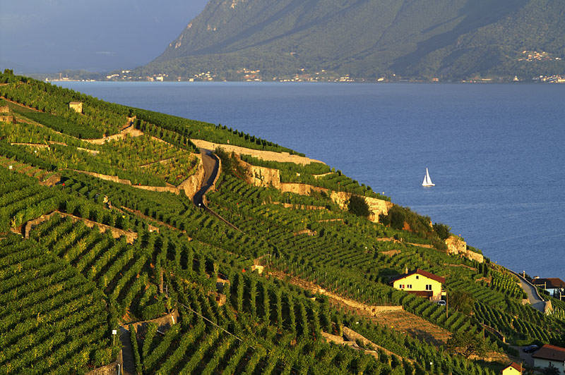 aimages.switzerland.isyours.com_images_big_lavaux_view_lake.jpg