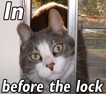 1235297-in_before_the_lock_kitty.jpg