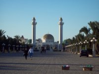 τυνησια νοεμ 2012 058.jpg