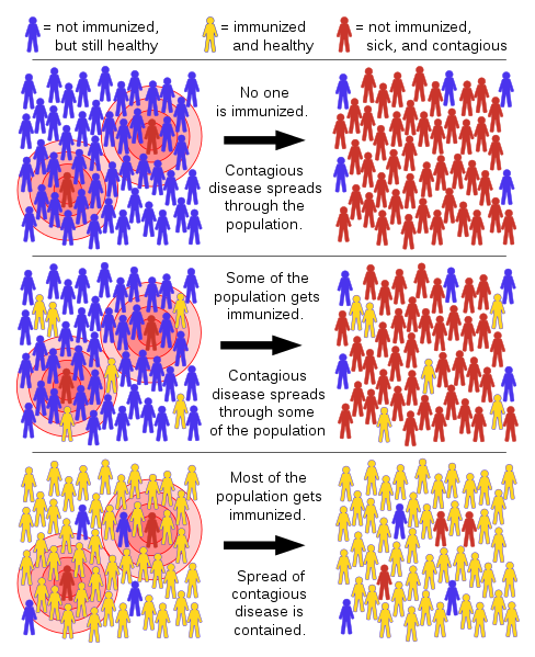 488px-Herd_immunity.svg.png