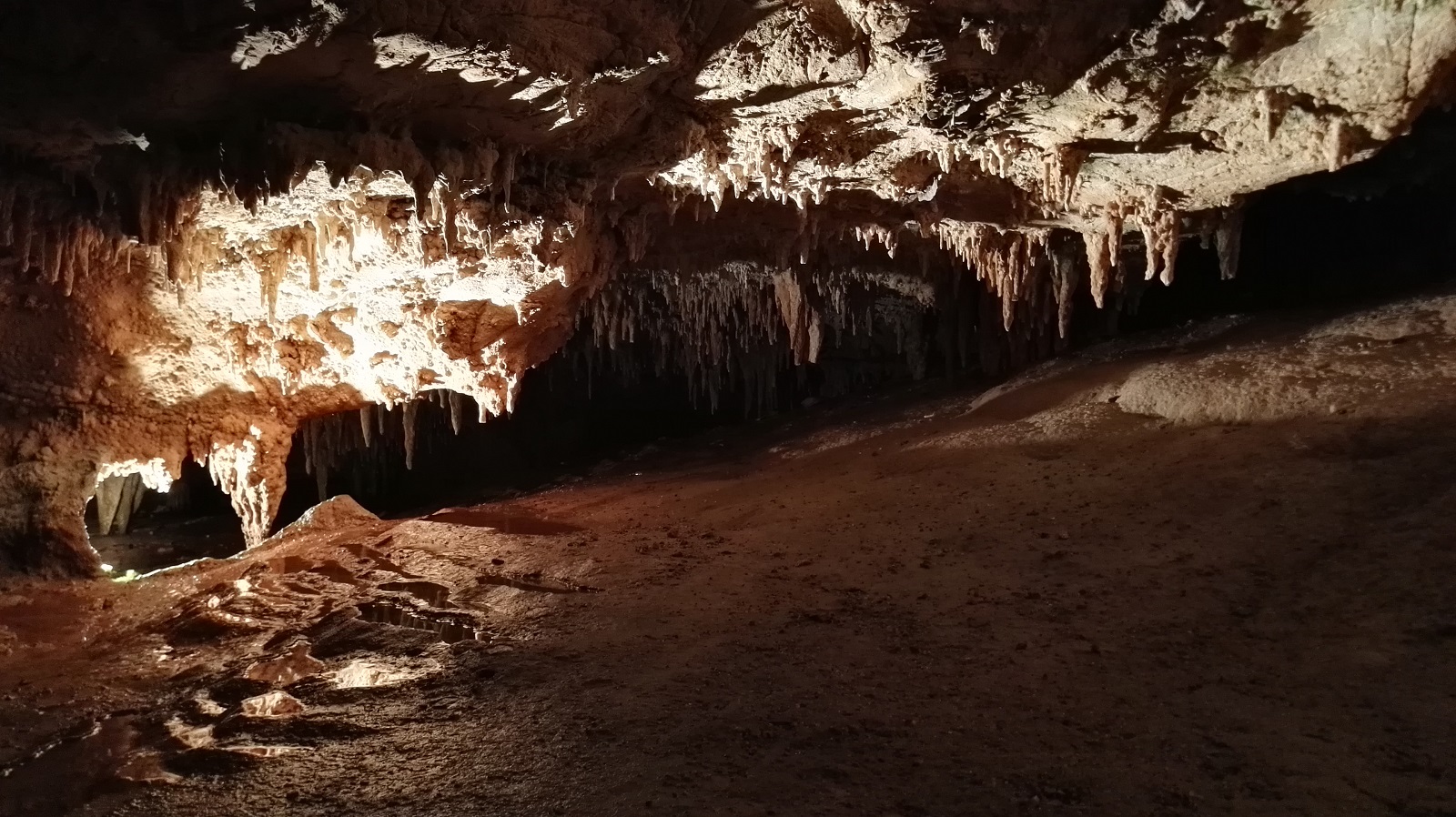 _344. Luray Caverns 5.jpg