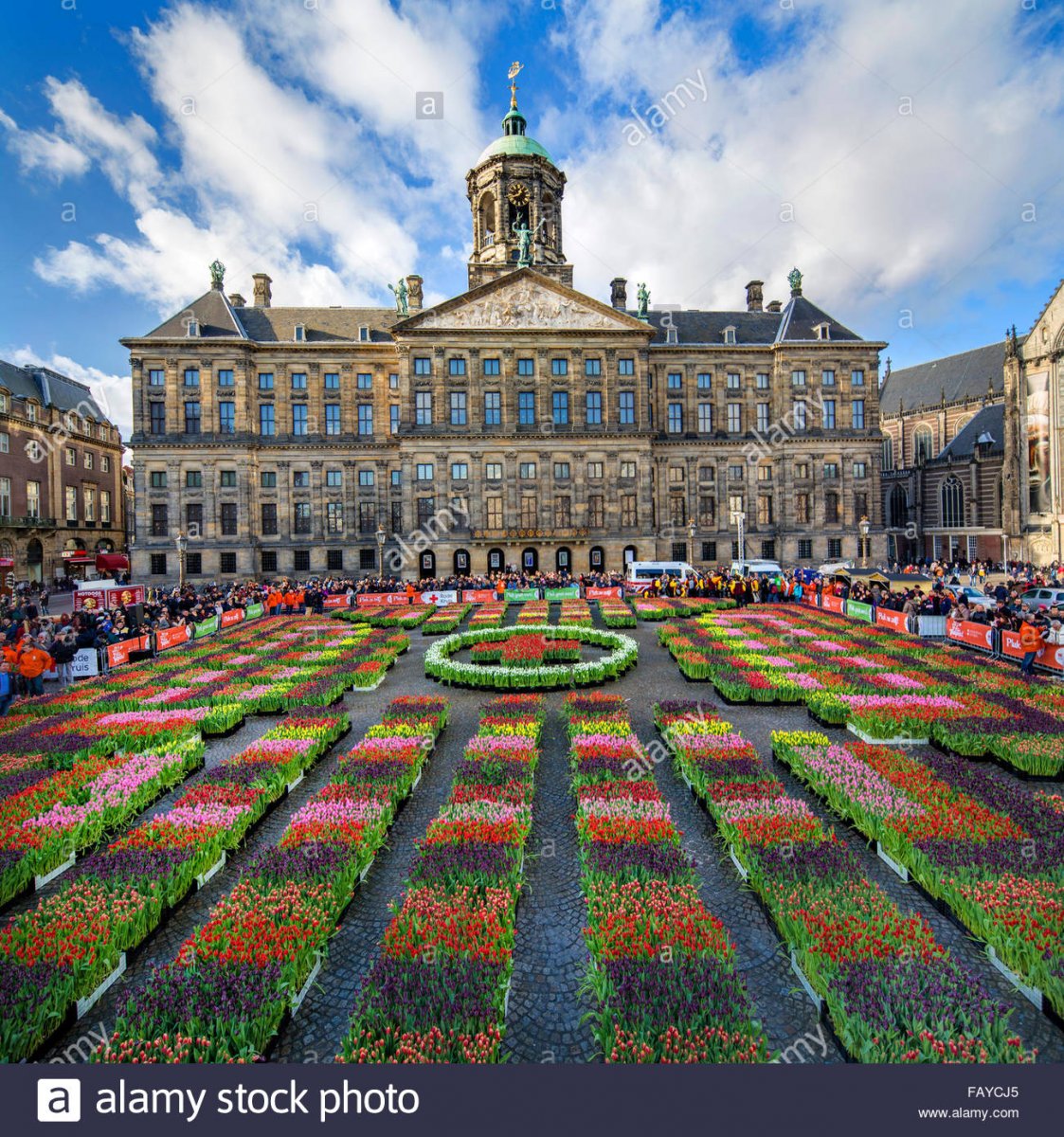 netherlands-amsterdam-start-of-tulip-season-dam-square-royal-palace-FAYCJ5.jpg