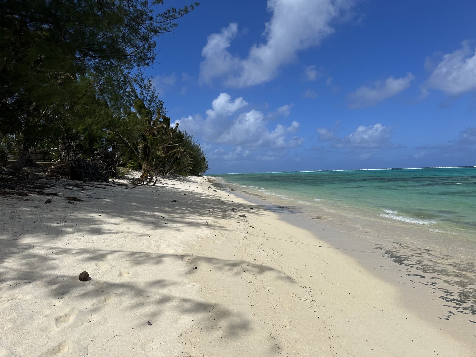 160. Παραλία Fruits of Rarotonga.JPG