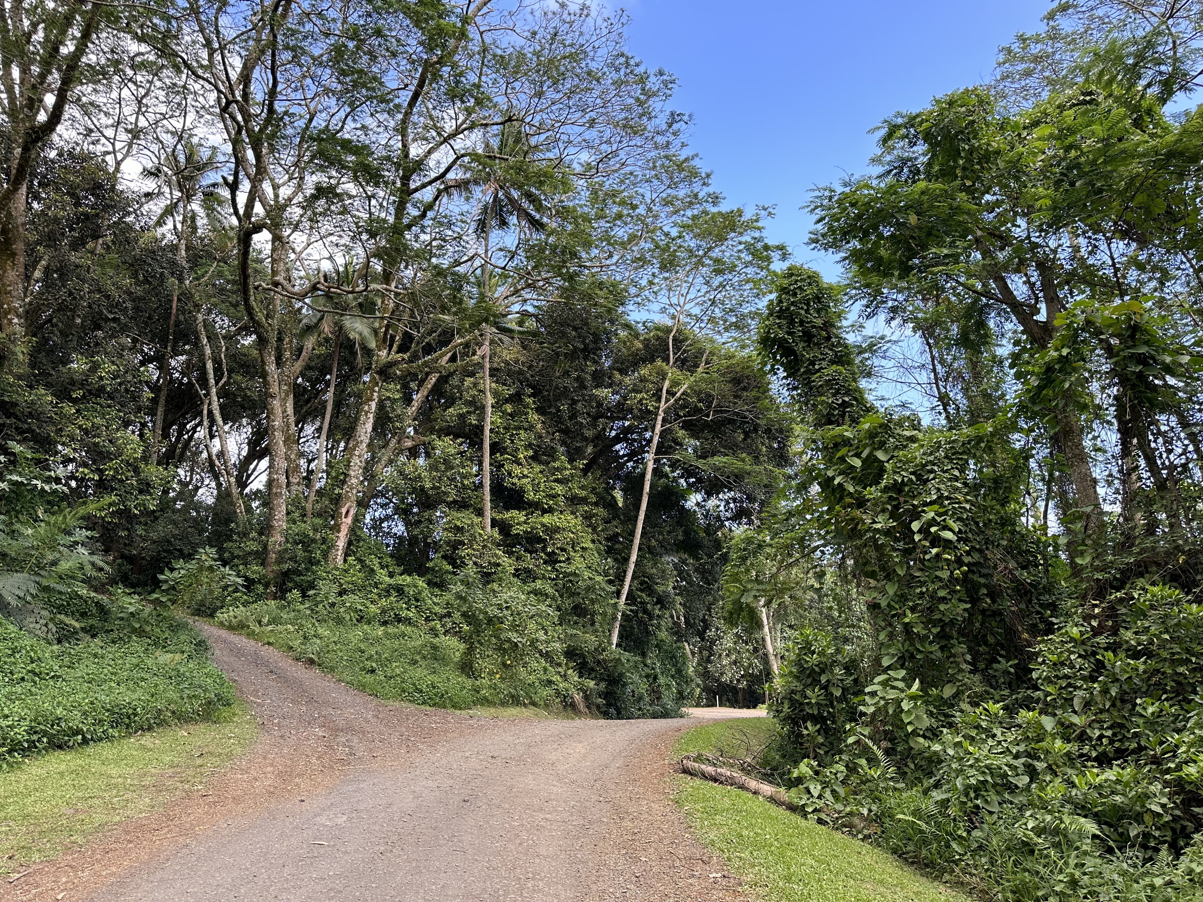 180b. Διαδρομή Wigmore Waterfall 2.JPG