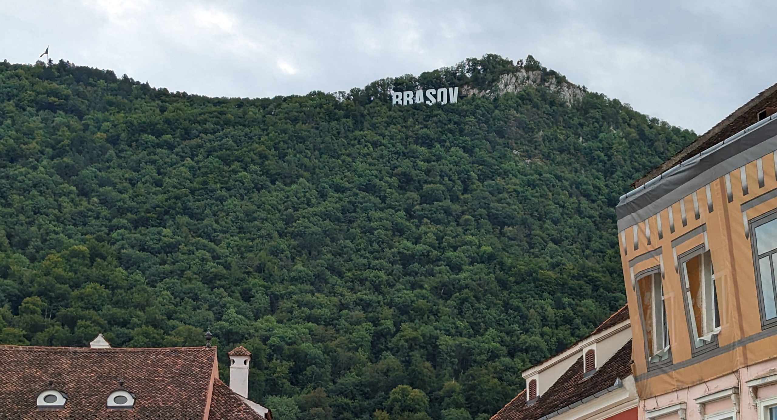 BearsofBrasov7-scaled.jpg