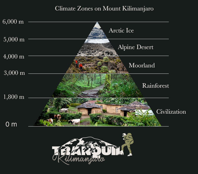 Climate-Zones-Kilimanjaro.jpg