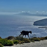 Γιάννης Φακής