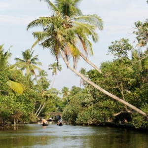 Backwaters, Kerala