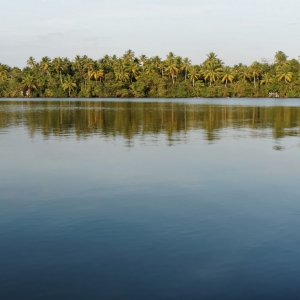 Backwaters, Kerala