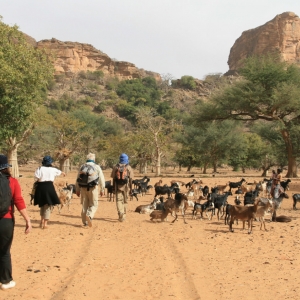 Xώρα των Dogon (UNESCO)