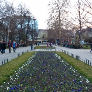 Gradska gradina