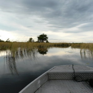 okavango