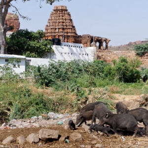 Badami