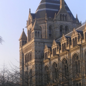 Natural History Museum