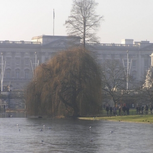 St. James's  Park - Buckingham Palace