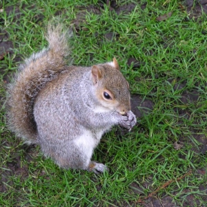 St. James's Park