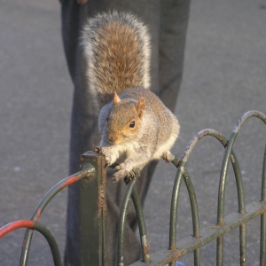 St. James's Park