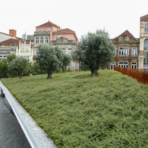 Praça de Lisboa, Oporto City