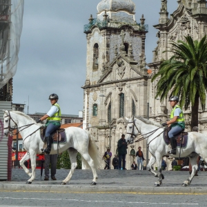 Iglesia do Carmo, Porto