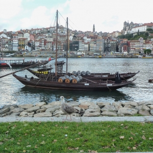 Porto from Ribeira De Gaia - Porto