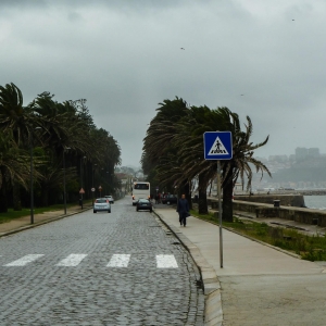 Porto - Avenida de Dom Carlos I