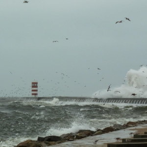 Wild Atlantic Ocean - Porto