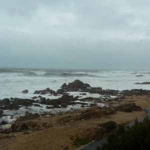 Wild Atlantic Ocean - Porto