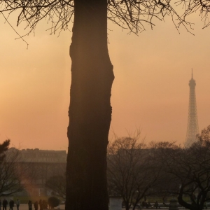 Jardin des Tuileries