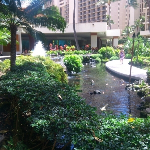 Hilton Hawaiian Village 3