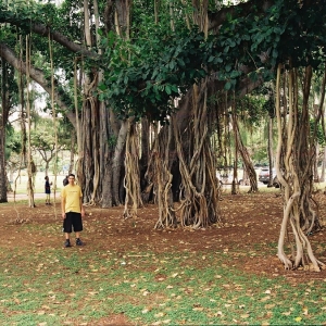 Kapiolani Park 1