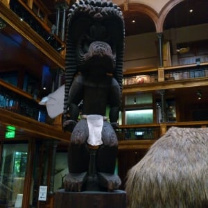 Bishop Museum 4