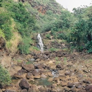 Waimea Botanical Gardens 5