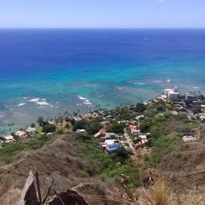 Diamond Head - Coral Reef