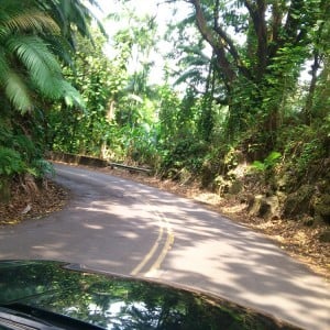 Papeekeo Scenic Drive 2