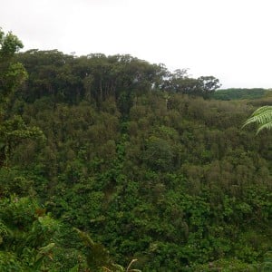 Akaka Park