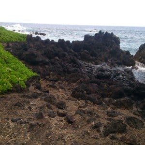 Laupahoehoe Point 2