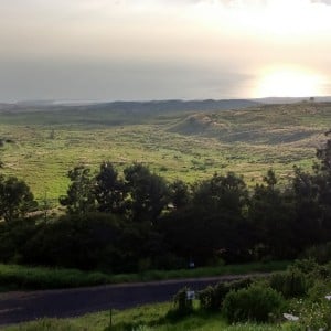 Kohala Mountain Road 1