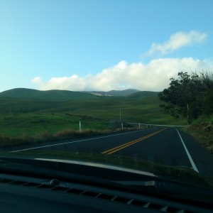 Kohala Mountain Road 2