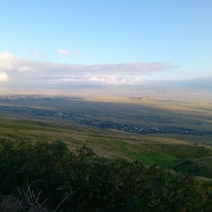 Kohala Mountain Road 3