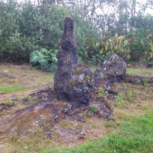 Lava Tree State Monument 1