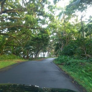 Puna Scenic Route 2