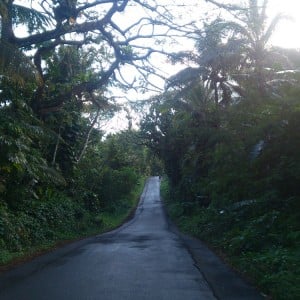 Puna Scenic Route 3