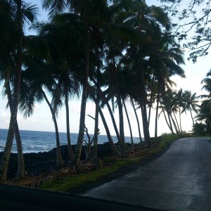 Puna Scenic Route 4