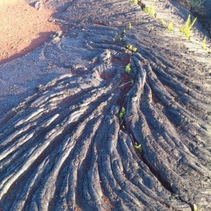 Pahoehoe Lava