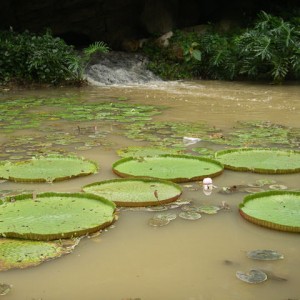 JURONG BIRD PARK