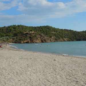 Ειδυλλιακή με τα δέντρα να φτάνουν σχεδόν μέχρι τη θάλασσα.